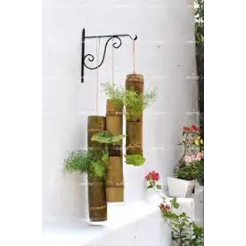 Natural Bamboo Plant